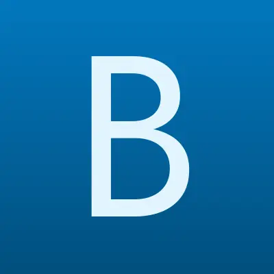 Бош Авто Сервис, лого-визитка