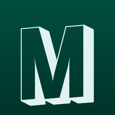 Мир Шин, лого-визитка